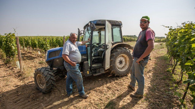 Chi siamo, Azienda Agricola Dario Montobbio